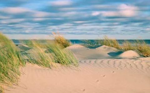 红三代重生后登顶的官场小说主角姓陆吗（耐人寻味的称呼）