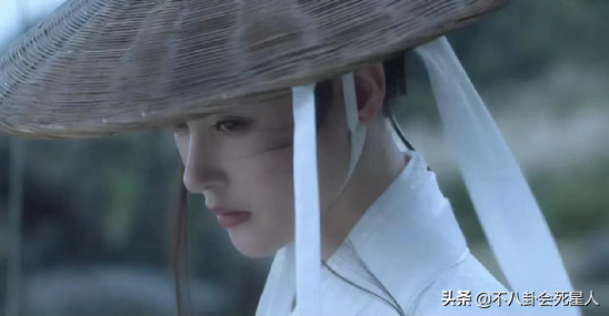 雪中悍刀行女主角有哪些（雪中悍刀行七大女星）
