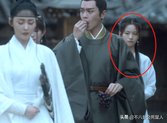 雪中悍刀行女主角有哪些（雪中悍刀行七大女星）