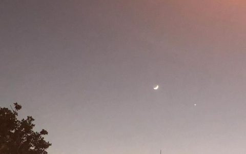 温柔文案短句干净治愈（干净简短小文案）