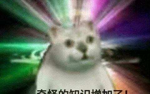 生意参谋怎么找蓝海产品（淘宝冷门暴利蓝海产品五个选择小技巧）