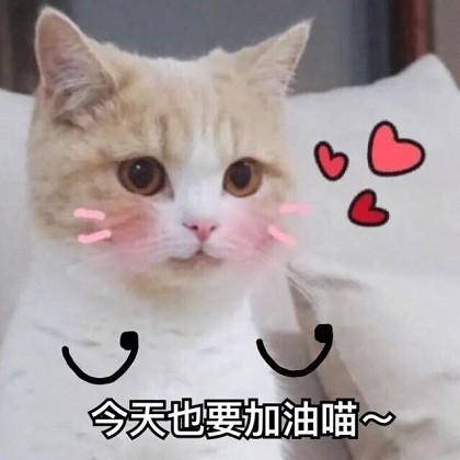生意参谋怎么找蓝海产品（淘宝冷门暴利蓝海产品五个选择小技巧）