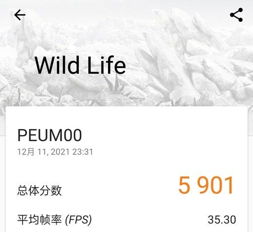 一寸和大一寸有什么区别（屏幕一寸大一寸强，OPPO Find N游戏体验）