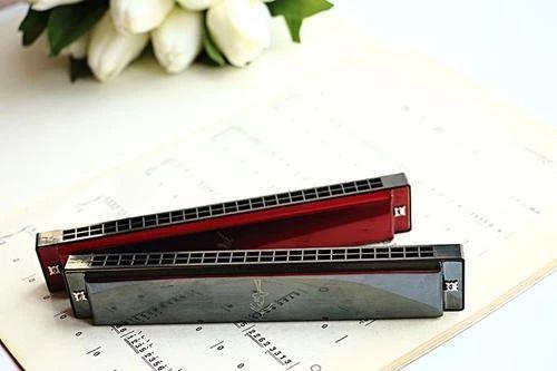 成年女性零基础学什么乐器（十大简单易学乐器）