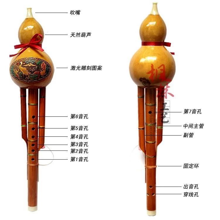 成年女性零基础学什么乐器（十大简单易学乐器）