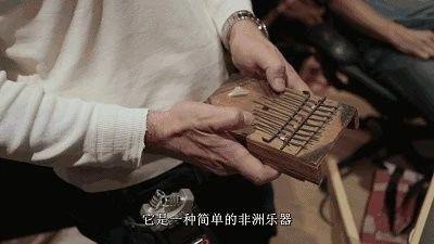 成年女性零基础学什么乐器（十大简单易学乐器）