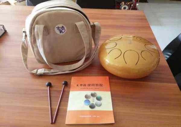 成年女性零基础学什么乐器（十大简单易学乐器）