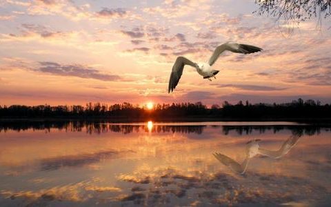 适合发朋友圈正能量短句 干净励志短句