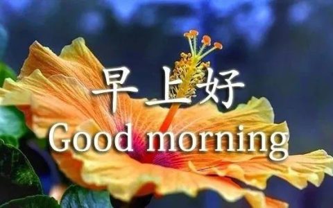 新版2022精典早安文句（附早上唯美图片）