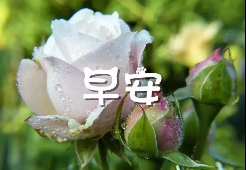 新版2022精典早安文句（附早上唯美图片）
