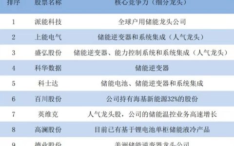 储能行业前十大公司（储能行业十大潜力龙头公司）