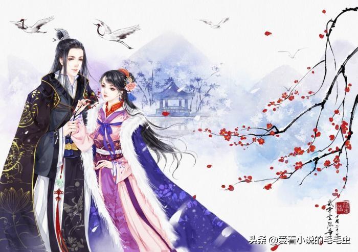 小说有车言情推荐（必读的四本言情小说）